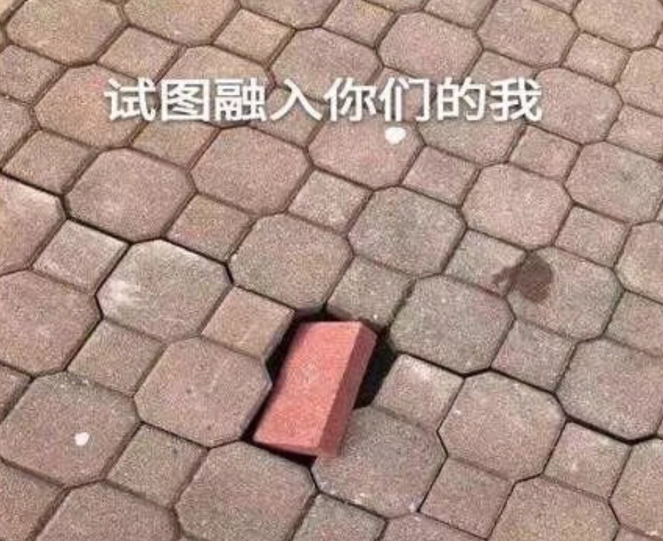 每天一条冷知识  老砖墙上的白色“霜粉”其实是砖块自带的盐类结晶。当墙体受潮时，