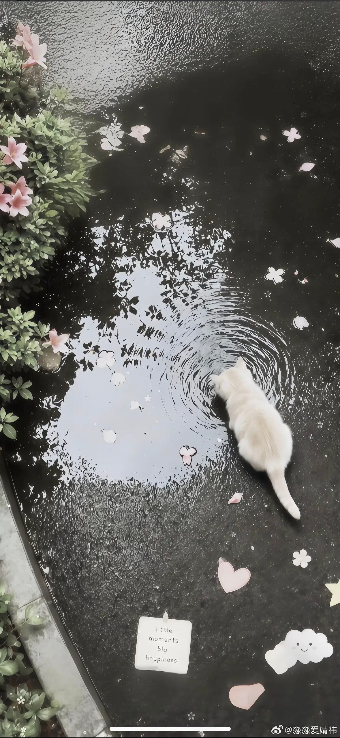 乌黑的秀发 配上无可挑剔的五官 好一幅倾国倾城的模样 让众橘迷倒在婧祎的石榴裙下