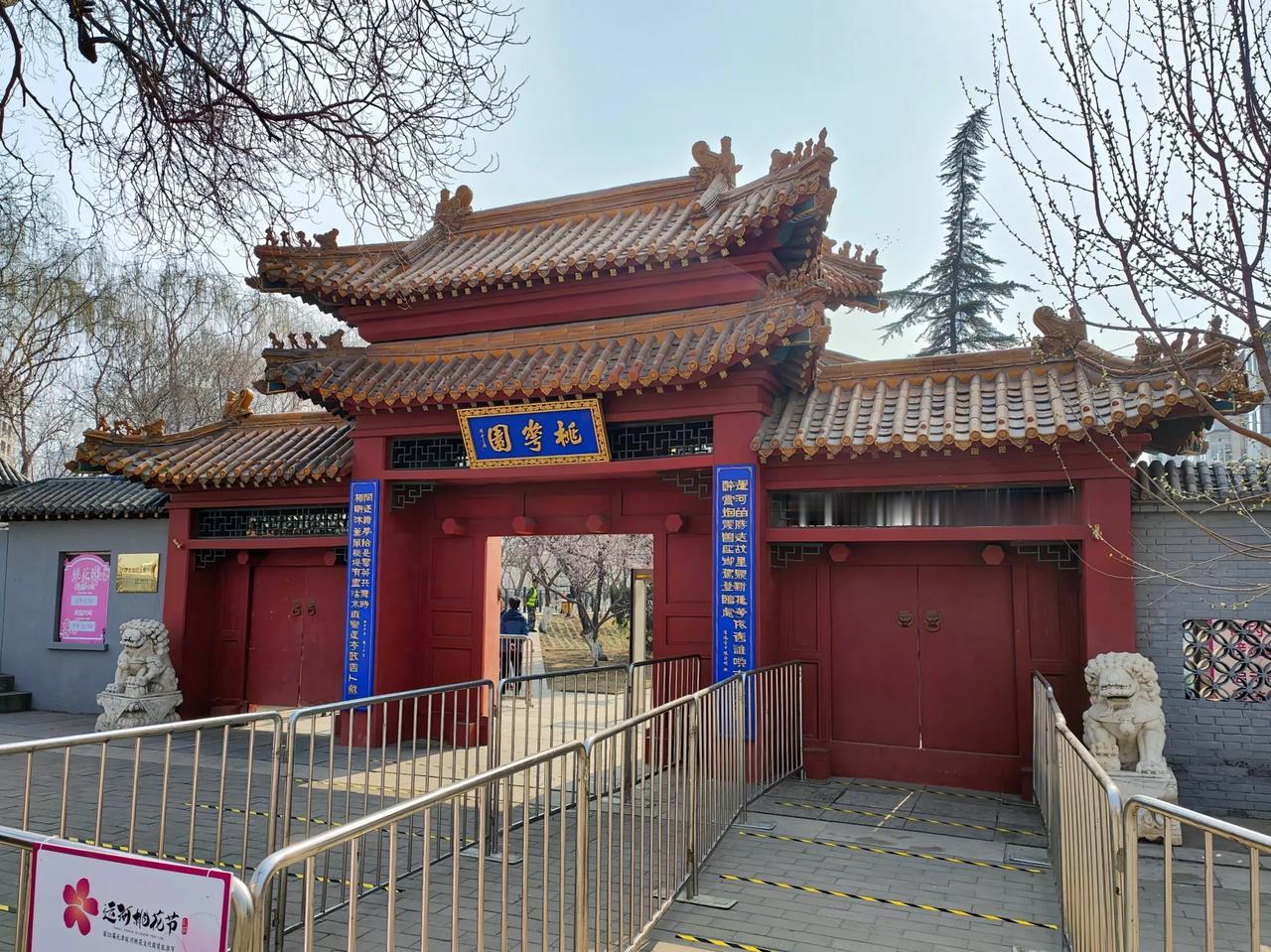 九河下梢天津卫，桃花堤赏花真“桃”醉！北运河畔桃花堤，桃花迎风笑嘻嘻！行走在桃花