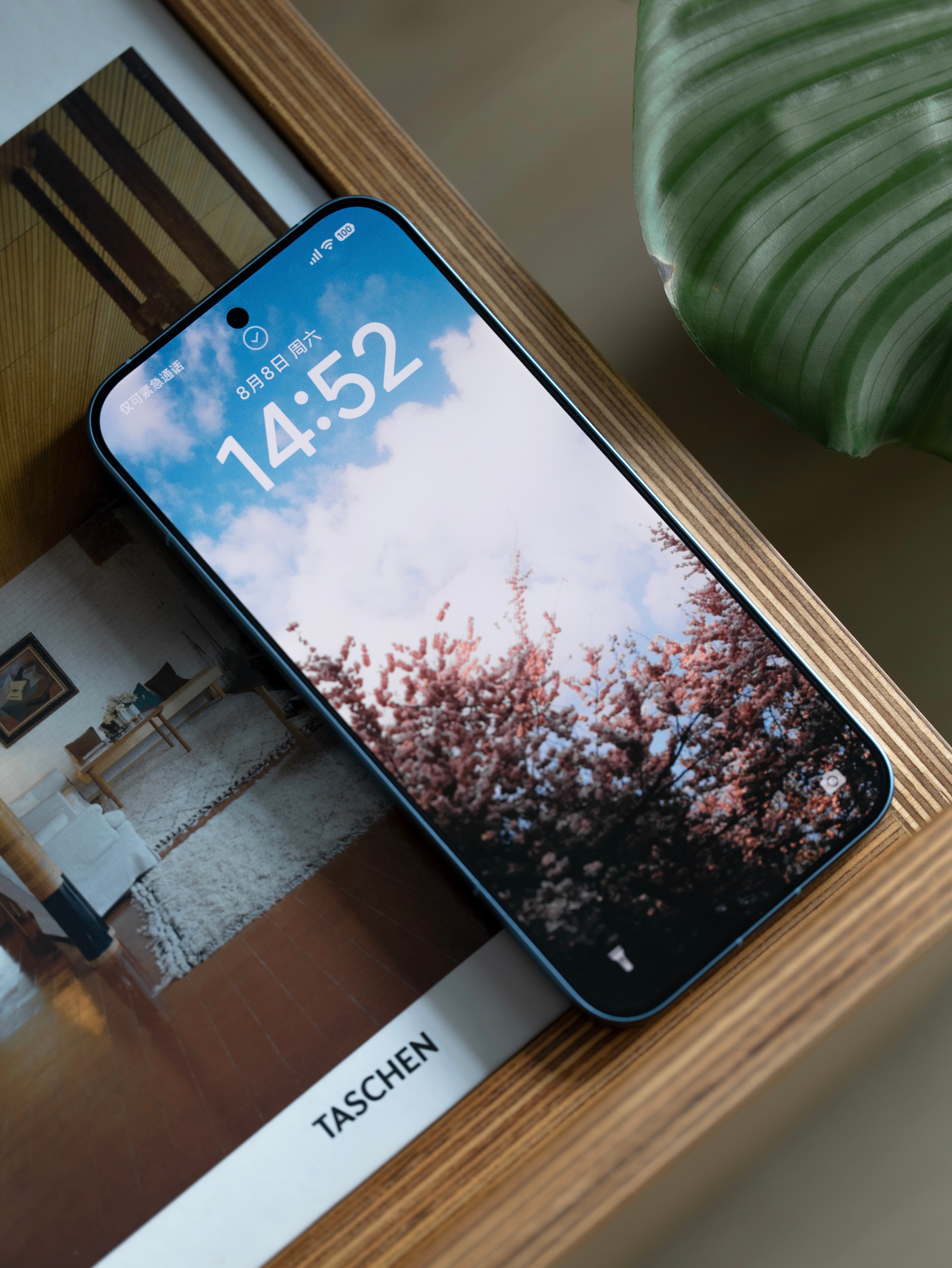 日常开箱｜REDMI K100 Pro Max 