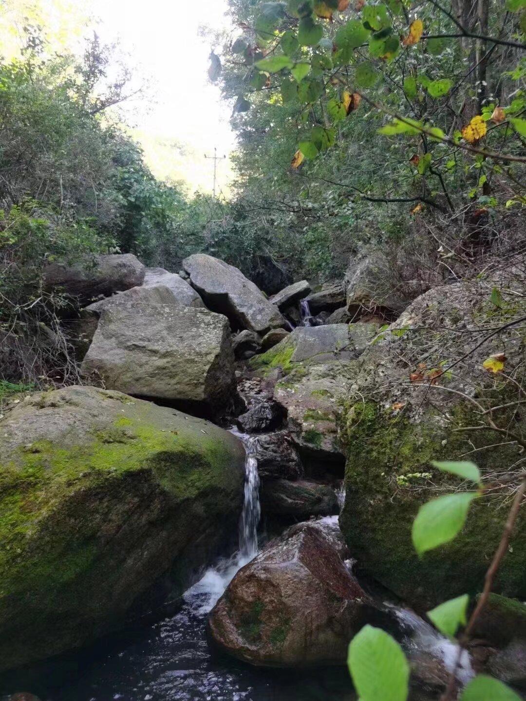 新岁今朝始，旧年日转终。
一轮初满月，还照北崆峒。