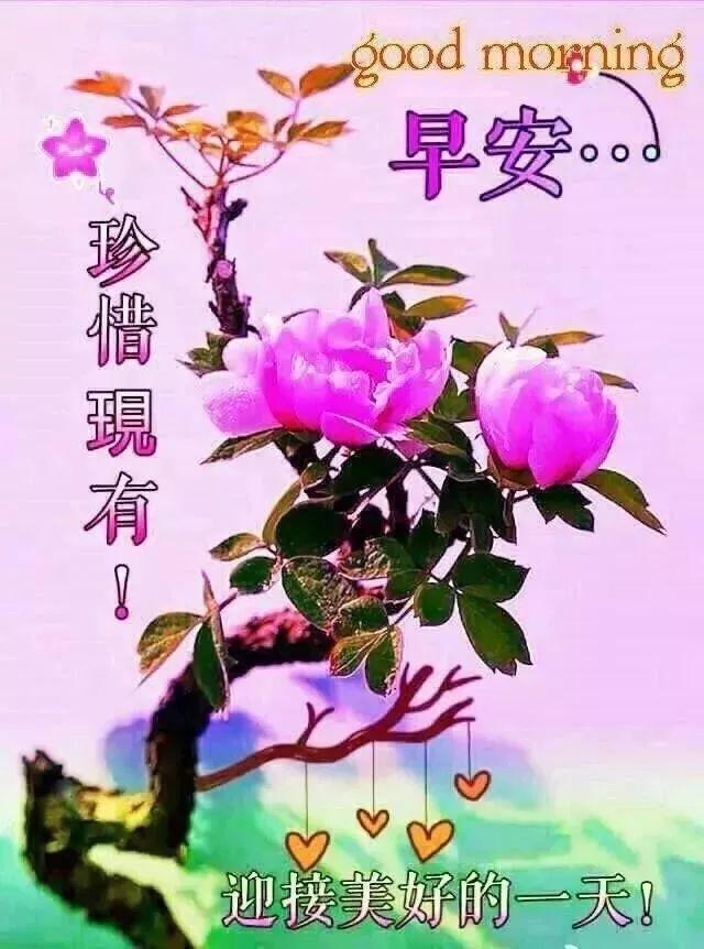 大海等你劈波斩浪，
大地唤你威震八方；
小鸟见你天下无双，
小花赏你大放光芒；