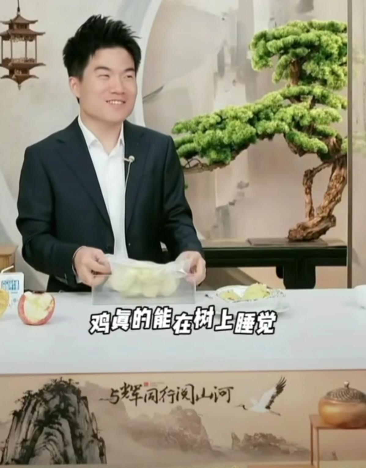 其实董宇辉说的也没错，鸡是可以在树上睡觉的。当然这是指部分散养鸡，而且养殖的范围