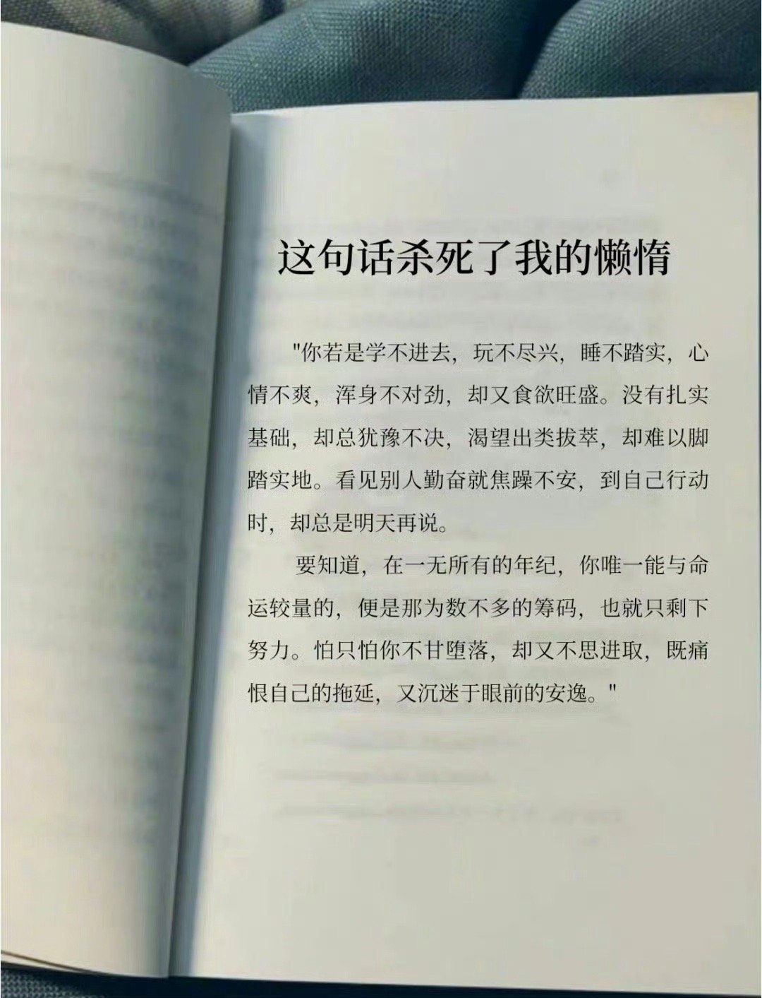 “这句话杀死了我的懒惰 ​​​” ​​​