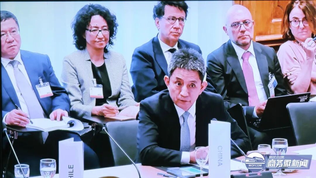 李成钢出席巴黎世贸组织小型部长会议