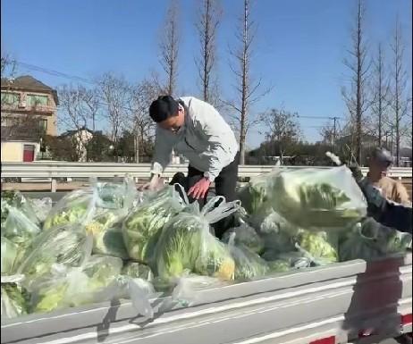 近日，从安徽到浙江德清，种菜的菜农王为杰夫妇，正值壮年的儿子突发疾病去世，留下2