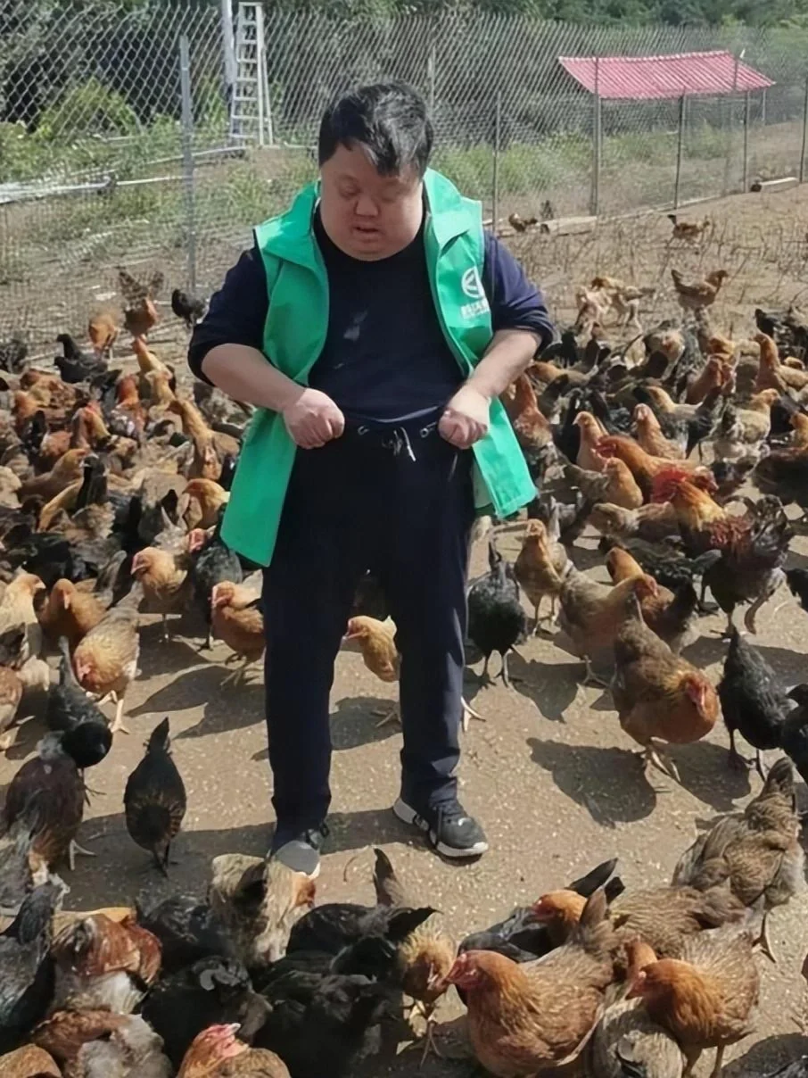 拿低保的“天才指挥家”