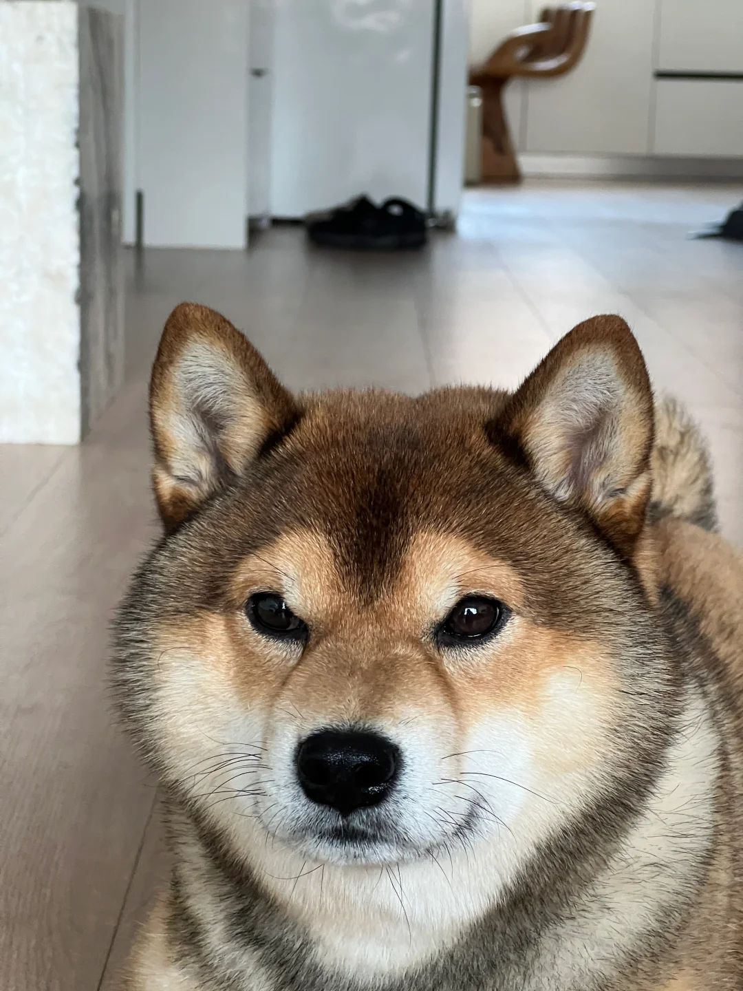紧张得像个人～💁🏿‍♀️