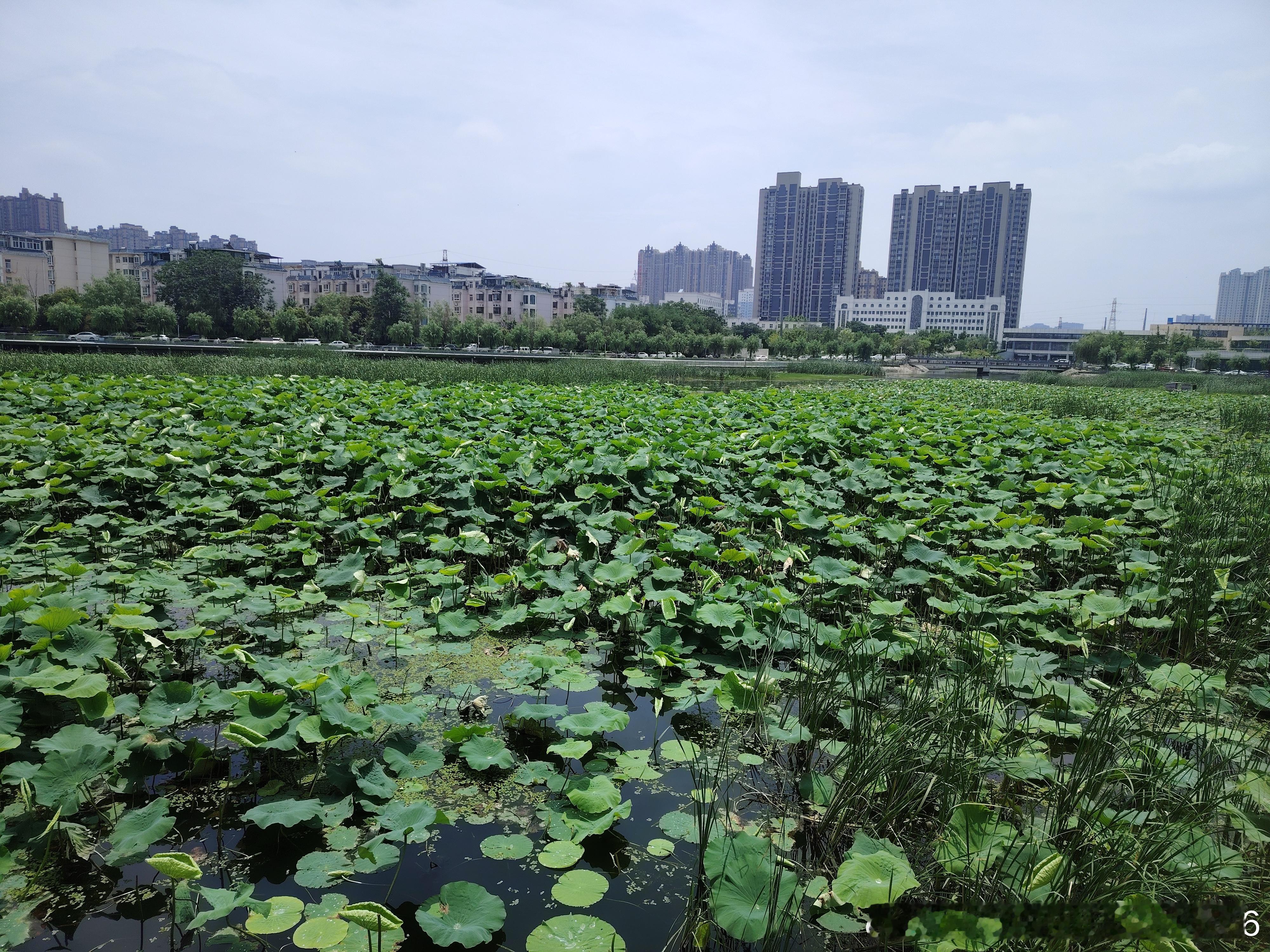 跑河八公里 
