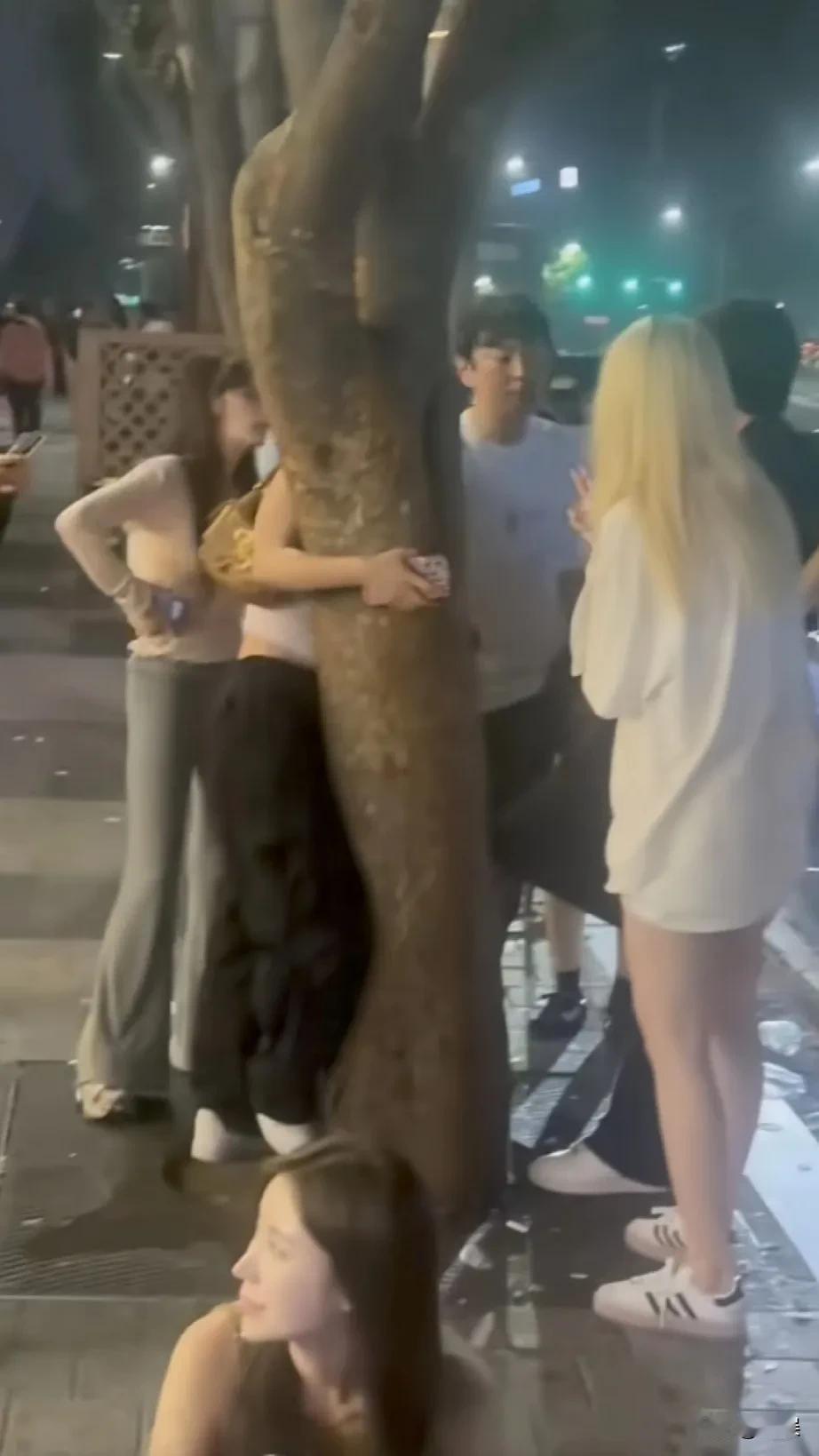王思聪