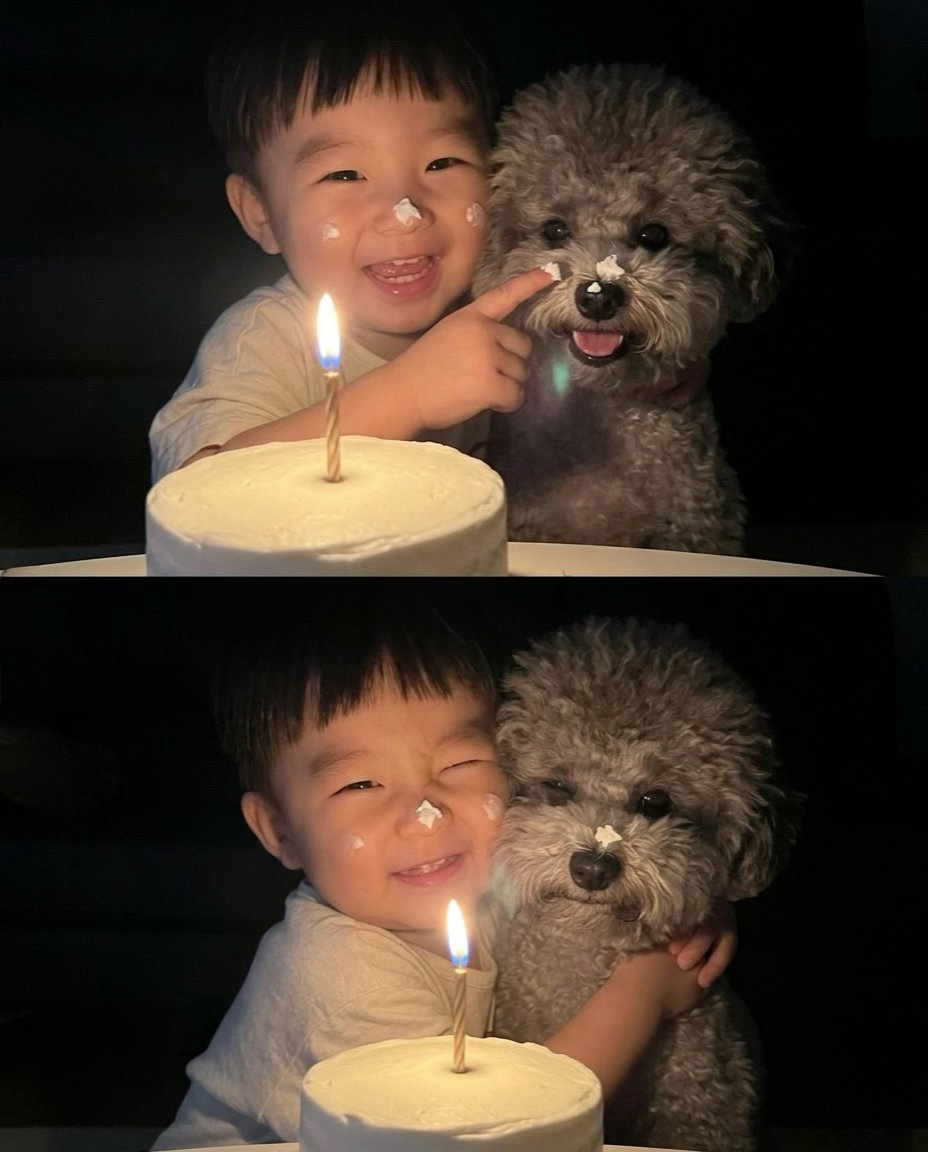 🥺🐶🍰 ​​​