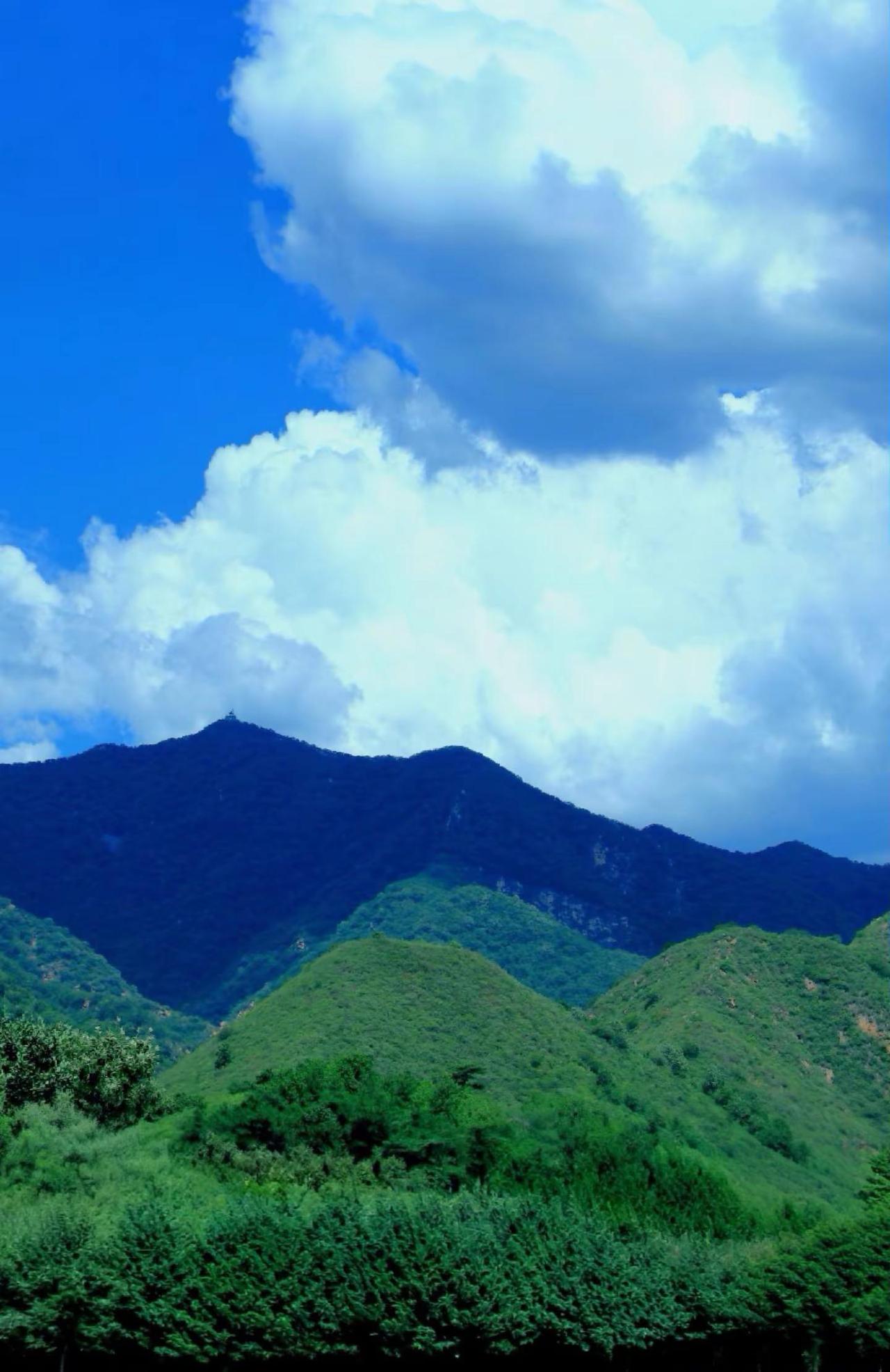 妹的山歌。玩法合伙人计划