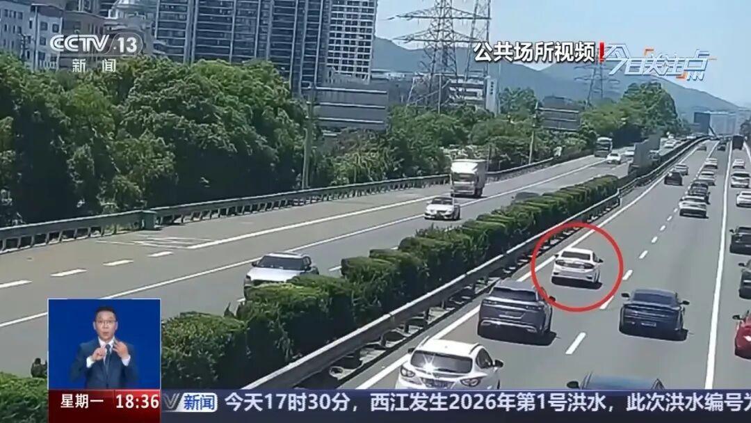 “不懂规矩闯大祸。”浙江温州，一位女司机第一次高速体验，不仅让后方车辆上演了一场