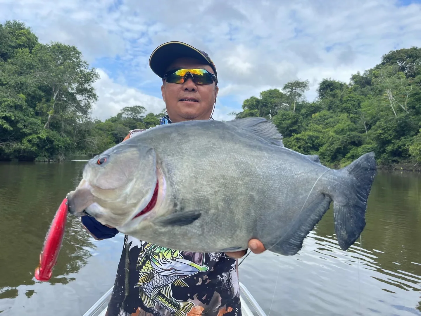 亚马逊水面系大狼鱼🐟