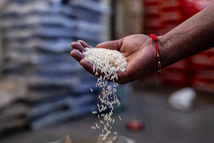 中国饭碗稳不稳？印度大米减产1000万吨，多国接连收紧粮食出口！

9月17日，