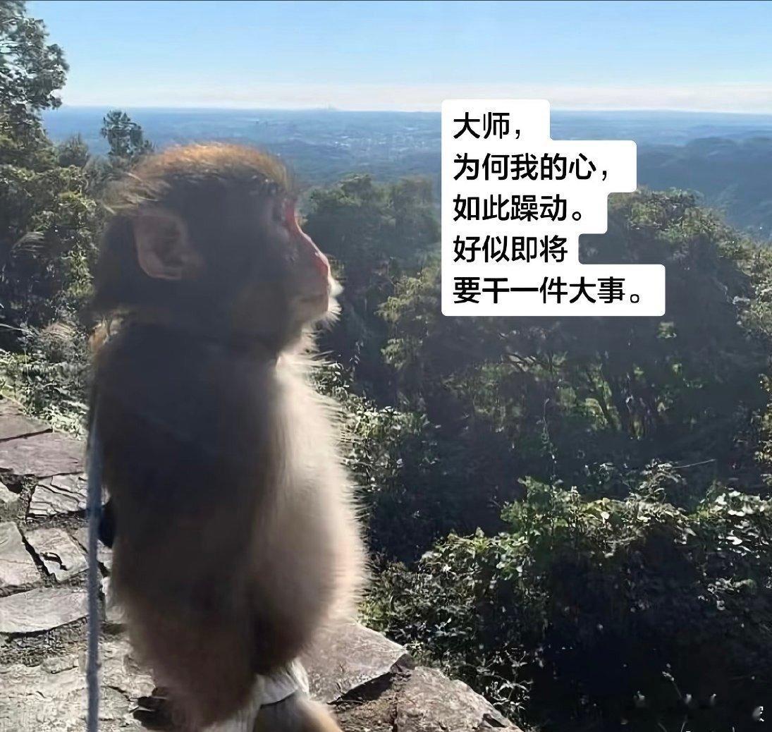 11🥣🍚1️⃣我靠扒着门框我都怕往下坠这个大扔字真的好味2️⃣kuzu_v0