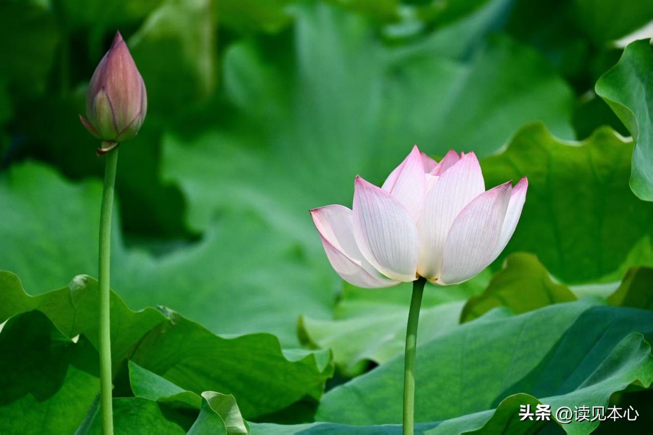 性学家一段非常现实的话：
“绝大多数人都将在
70多岁死去，
能活到80岁
已经