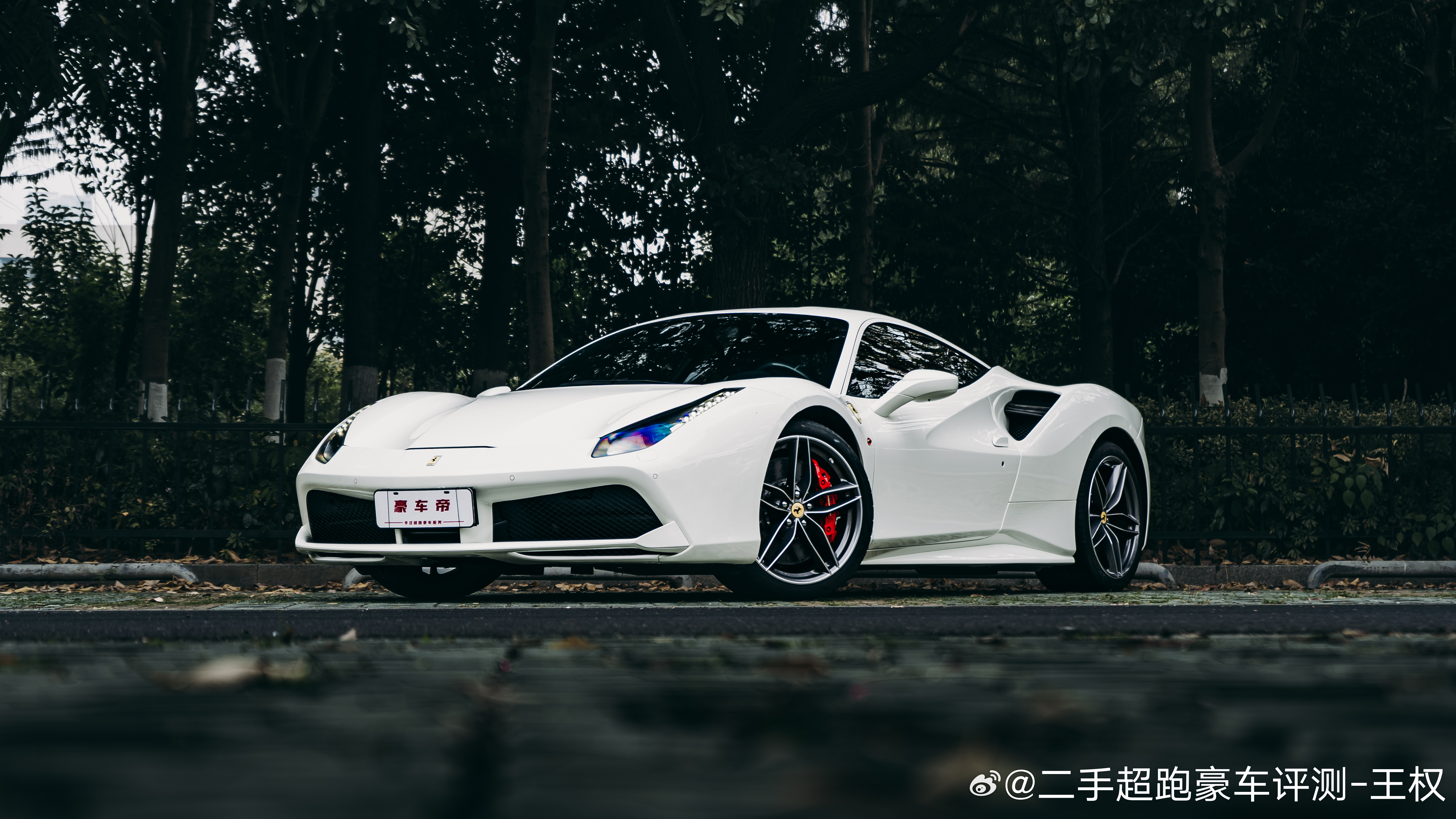 白马其实也很帅 ​​​