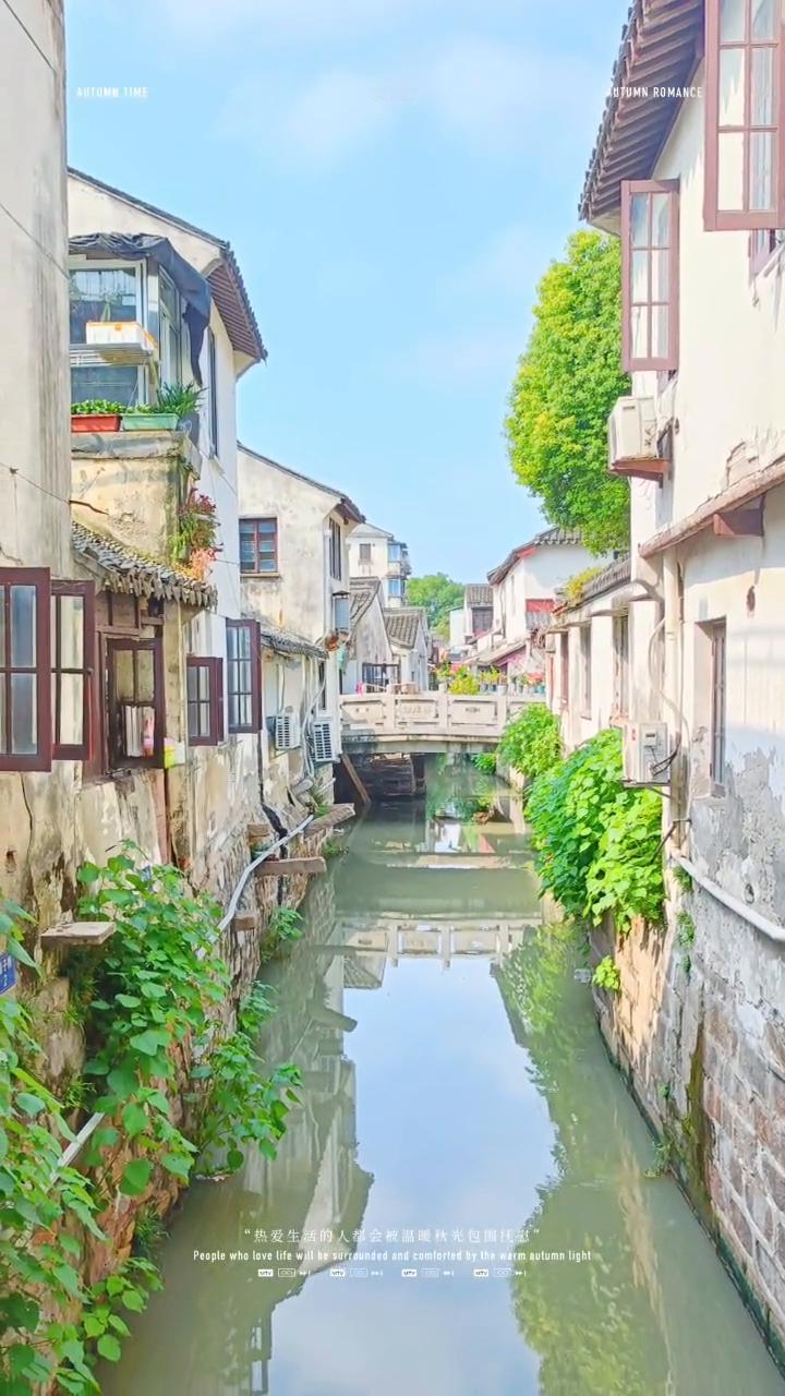 热爱生活的人都会被温暖秋光包围抚慰。