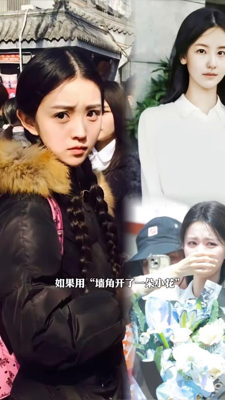 如果用墙角开了一朵小花，打开那一位明星的新人美食器，才发现他们真的在自己的天地里