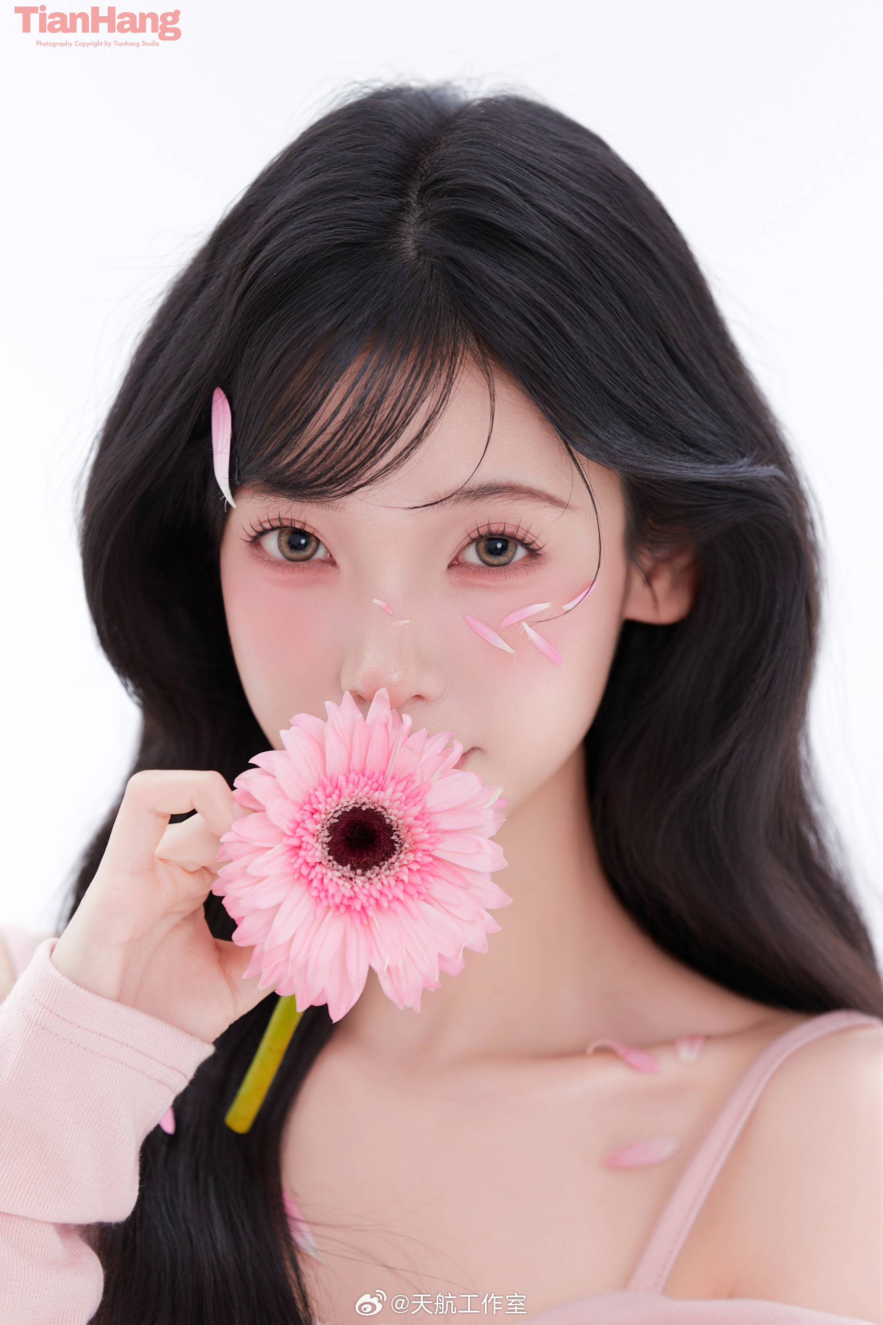 ✨棚拍分享浅粉系的温柔 谁能拒绝呀🌸📸把快乐和花瓣一起存档天航工作室韩系少女