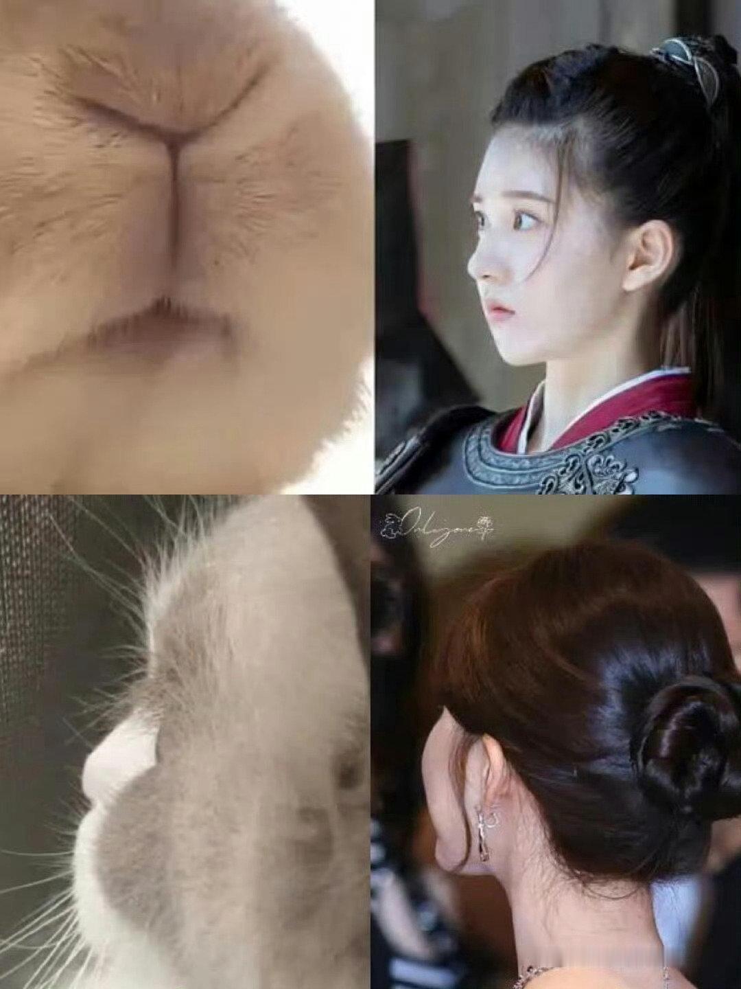 好想和赵露思亲嘴啊[泪] ​​​