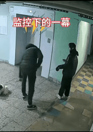 一个弱女子领着一条小狗，也不知道怎么搞的，把这个男人惹得发怒了，直接把小狗用力扔