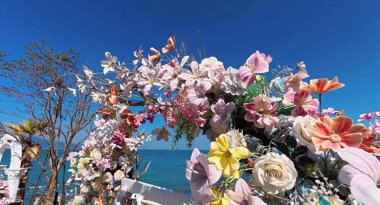 北方大雪纷飞 南方四季如春