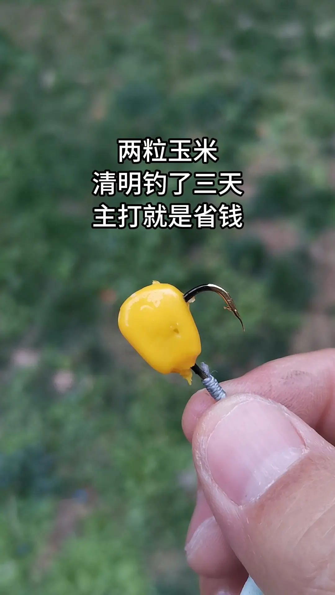 这两天真省钱！