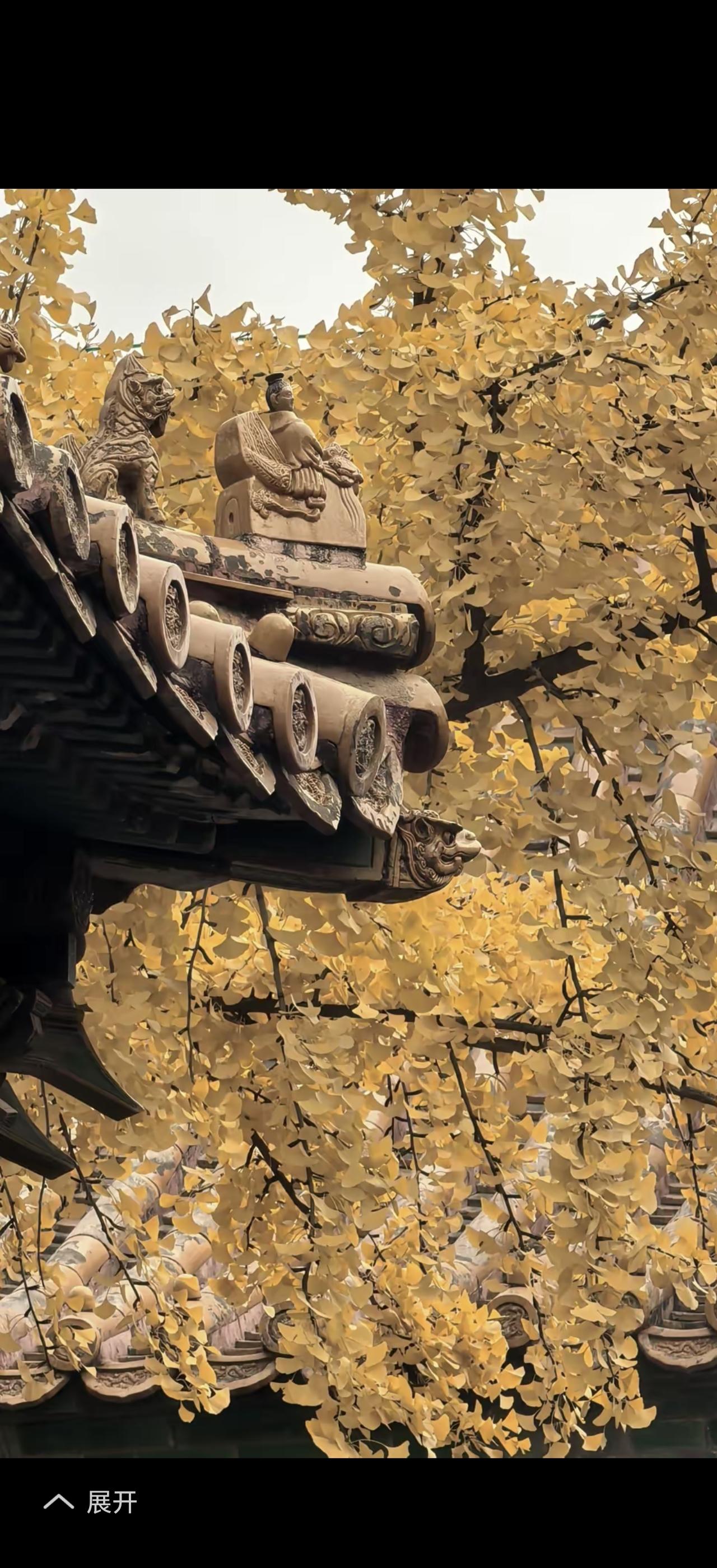 最近南北方气候简直“冰火两重天”。北方秋雨不断，华北、东北等地气温大幅降低，新疆