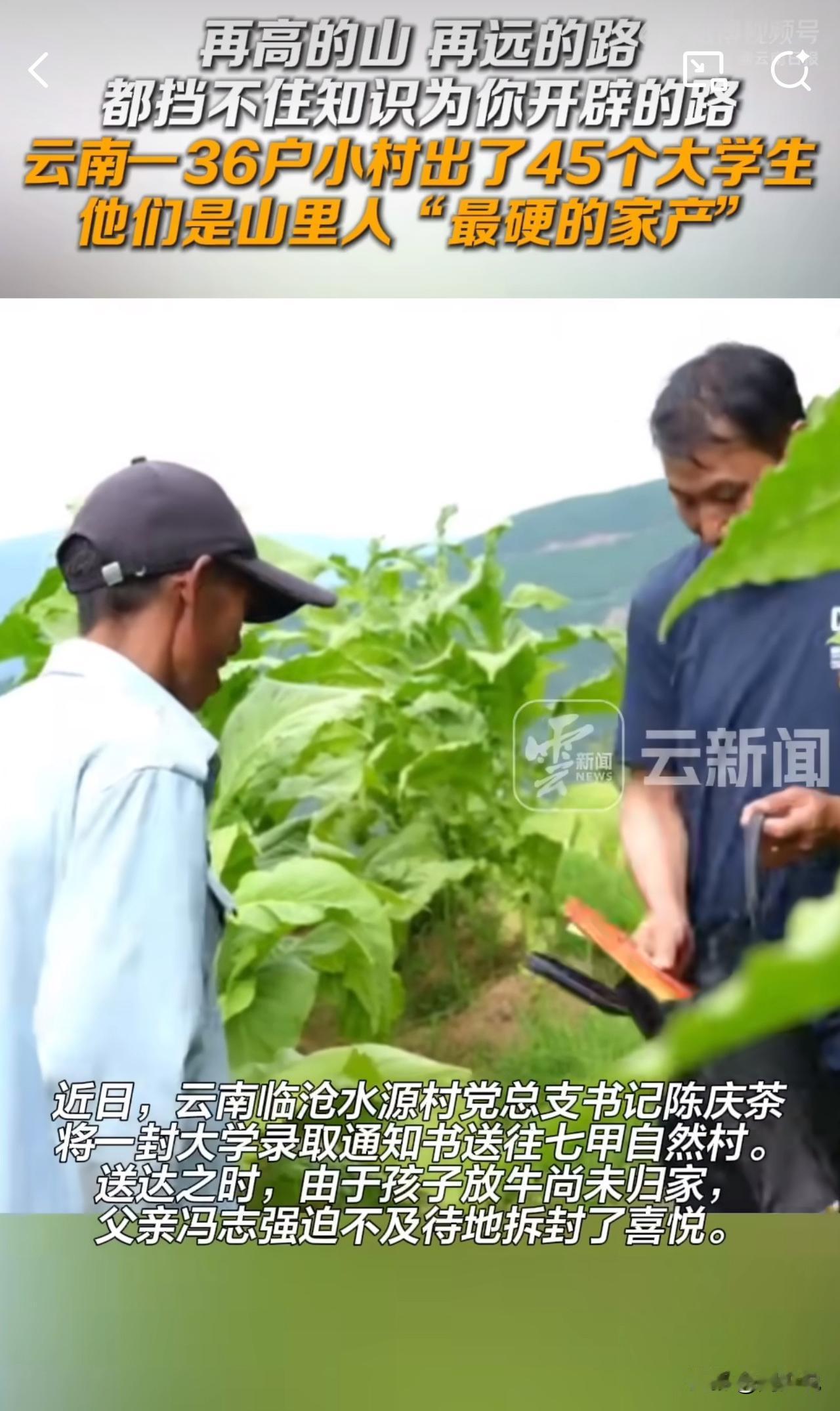 #MCN双量进阶计划#“云南这个小山村太了不起了！”据媒体报道，云南临沧市凤庆县