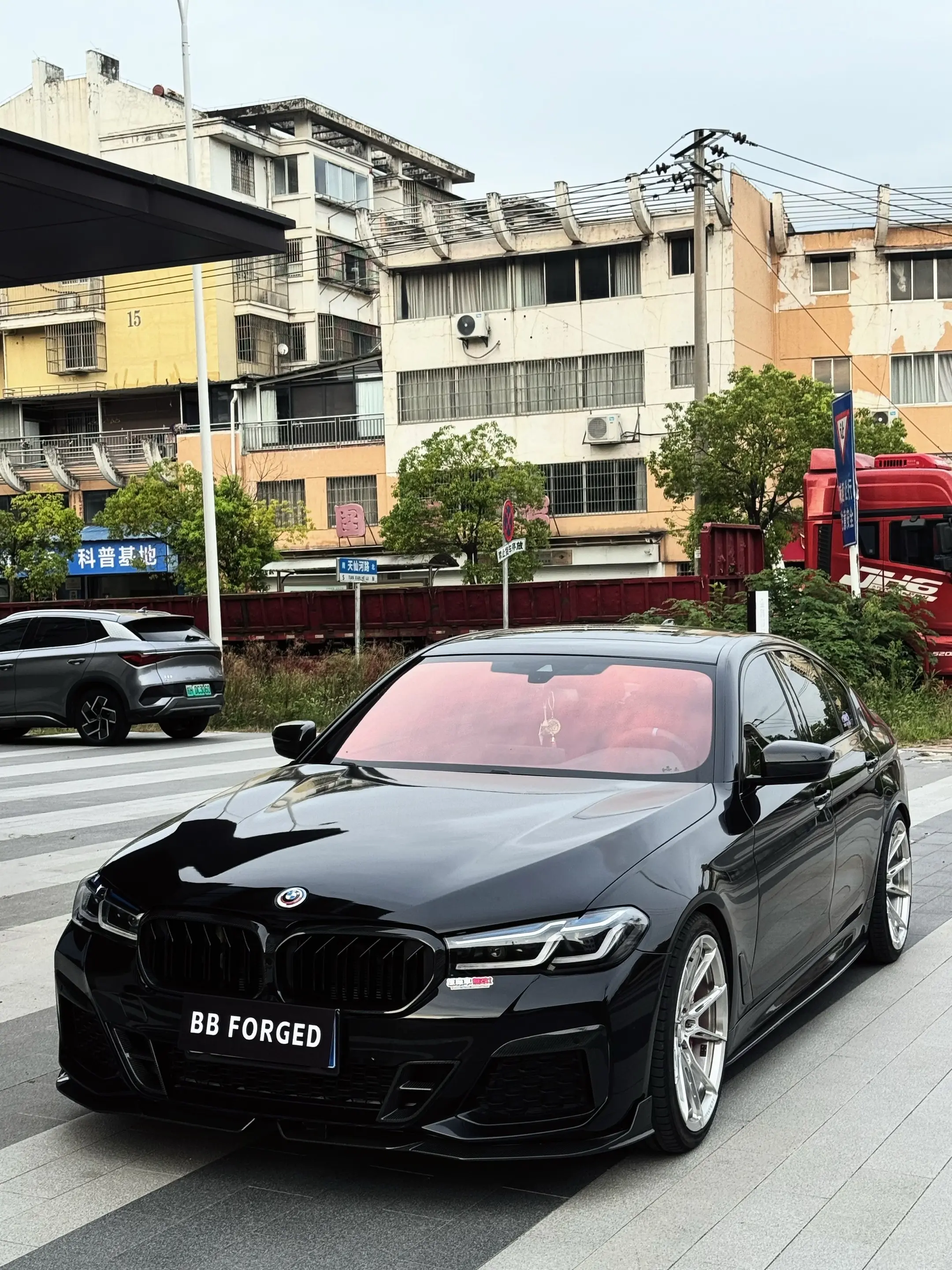 可以看看你们的爱驹是什么颜色嘛