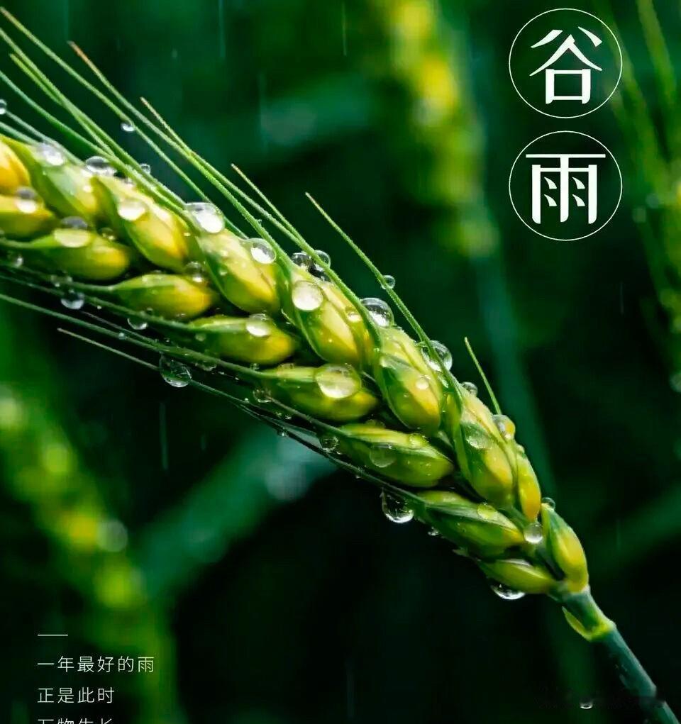 🍎²⁰²⁶/₀₄.₂₀ 🧨ᵕ̈ 🐎🍃🌻🍒🍡
🍃Hello, Ap