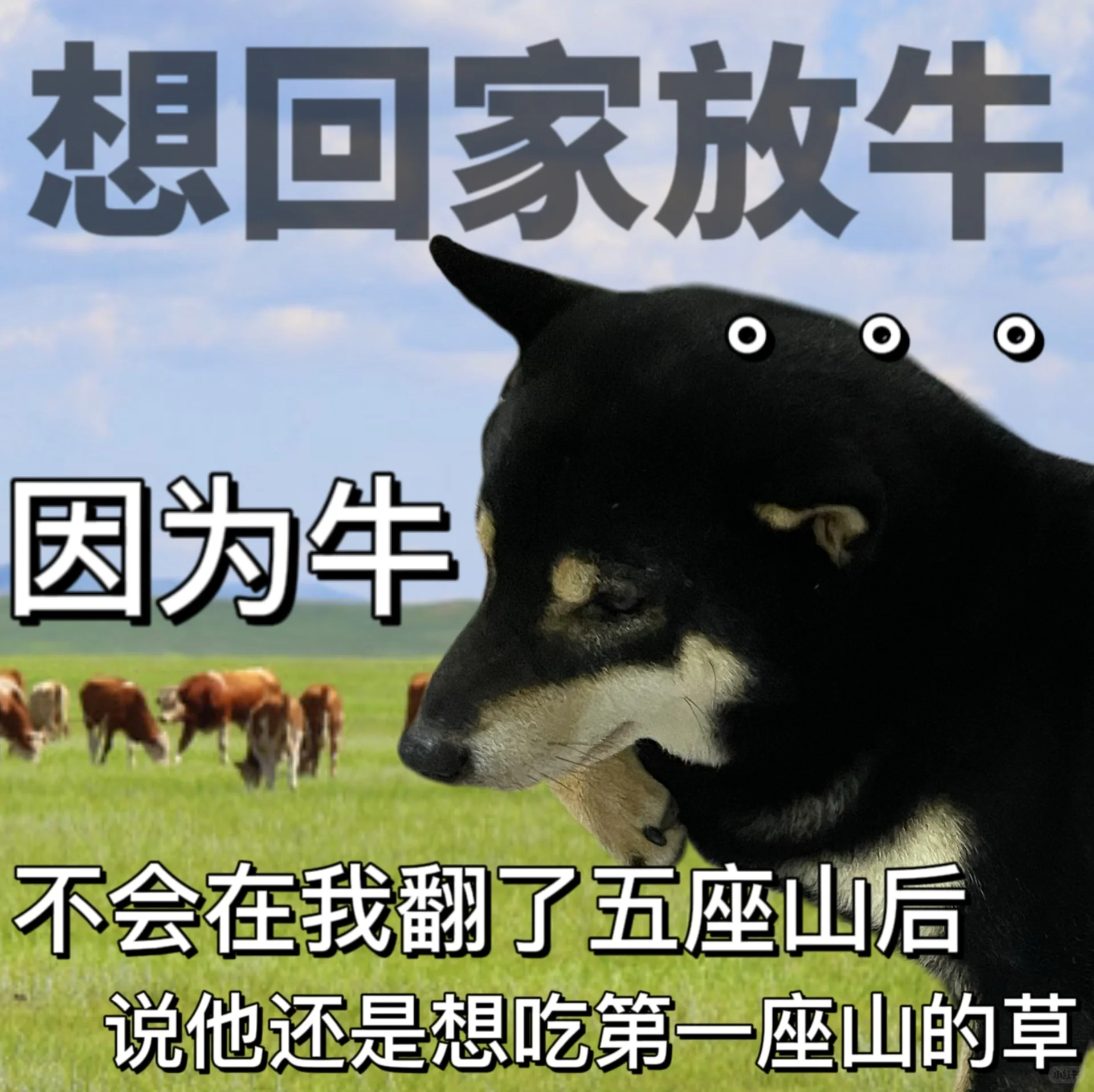 想回家务农了，因为庄稼不会半夜打电话让我改方案[融化] #V笑年度大赏# ​​​