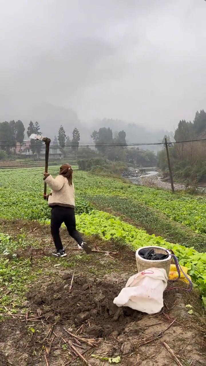 如果不是亲眼所见我是万万不敢相信的。