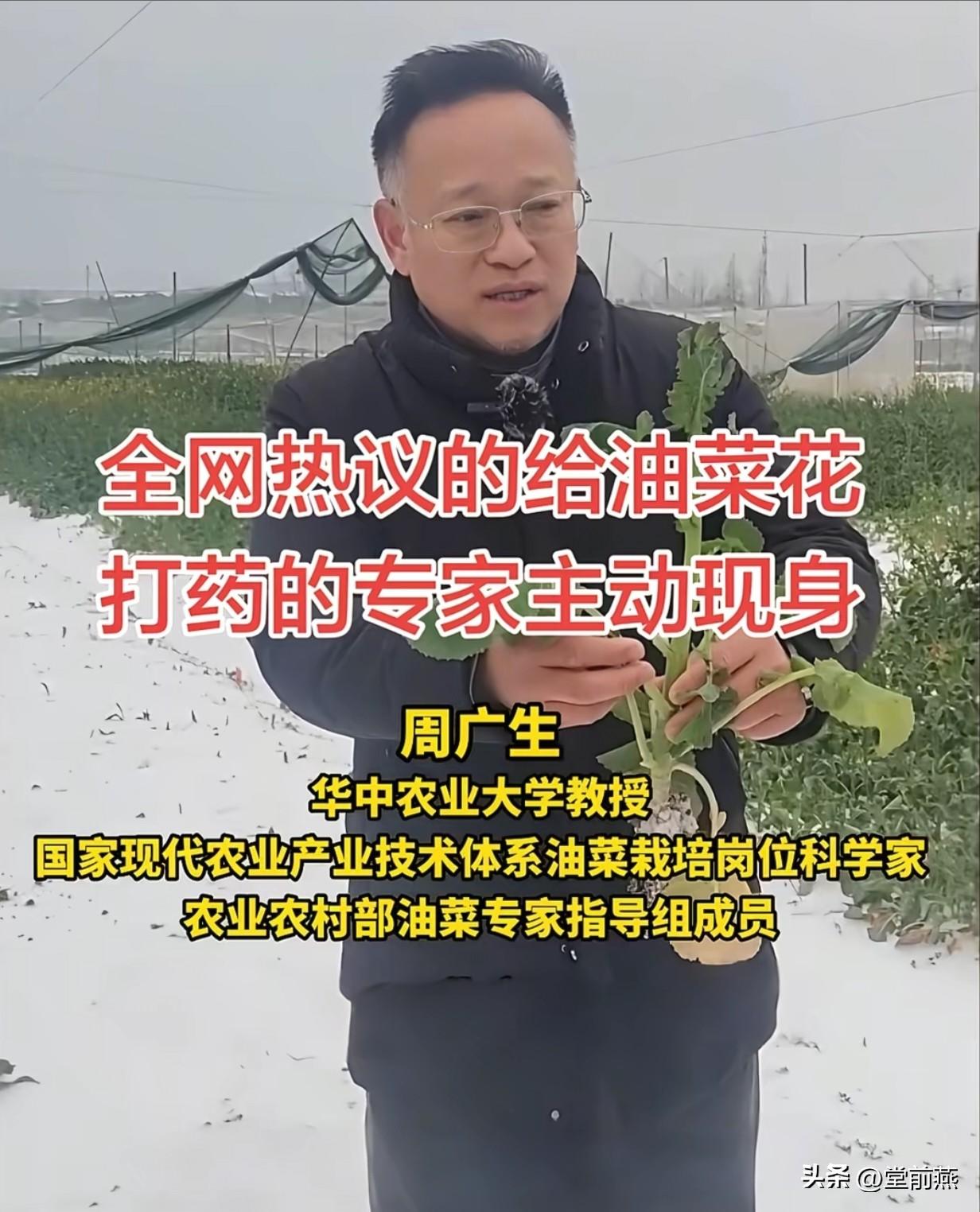 周老师初衷是好的，给油菜花打药，杀死害虫和真菌，但是格局太小。
他只懂“油菜产量