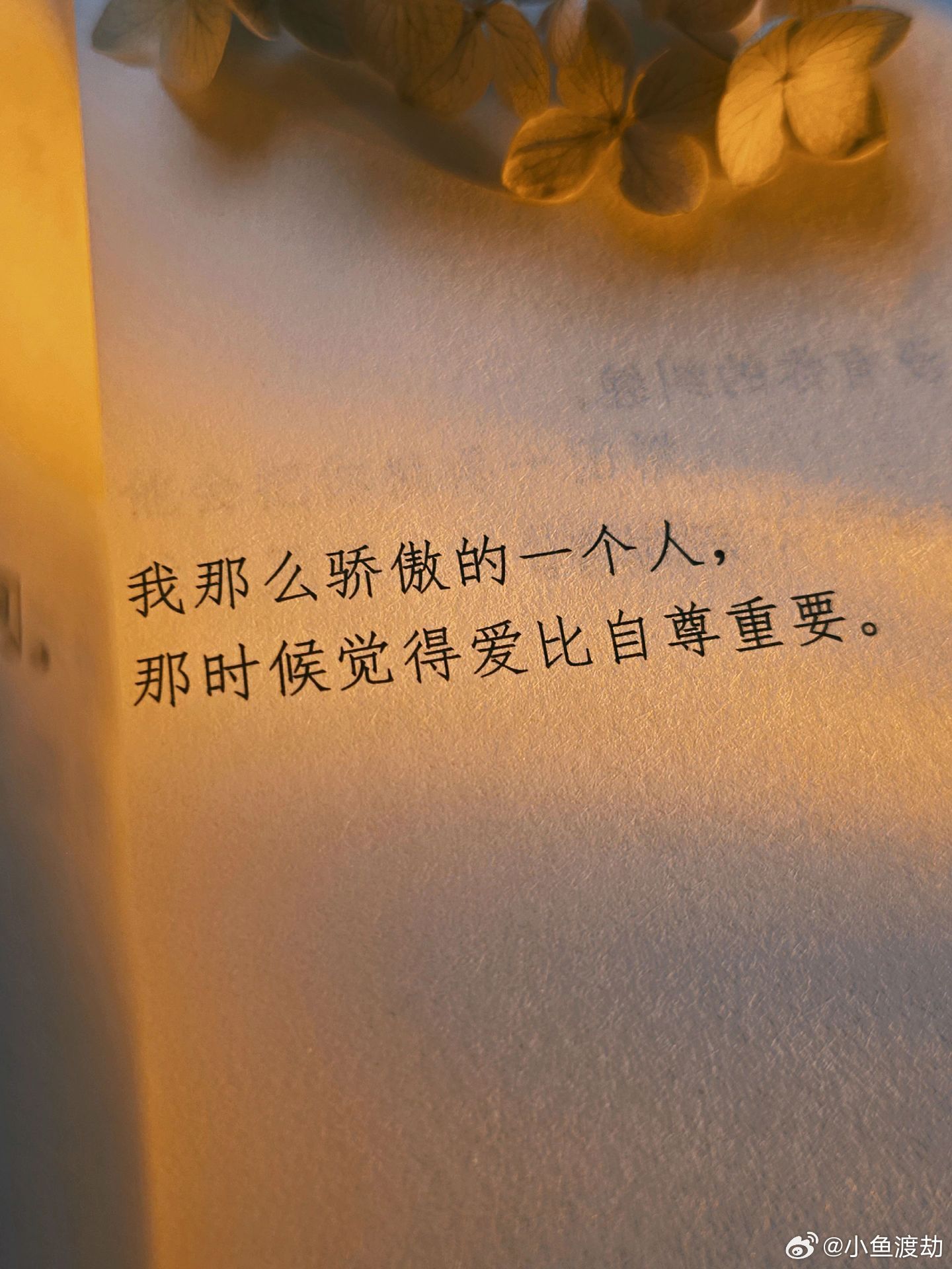 后来醒了:爱没留住，自尊也丢了💔。“我那么骄傲的一个人，那时候觉得爱比自尊重要