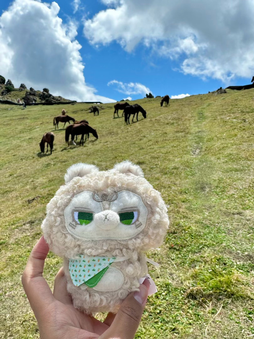 贺峻霖 💚贺峻霖 廿二振翮踏青云 怎么会有如此美萌的小棉花坨子 小兔子小羊驼小