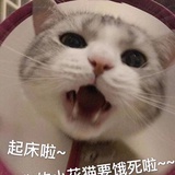 大鬼头侃体育