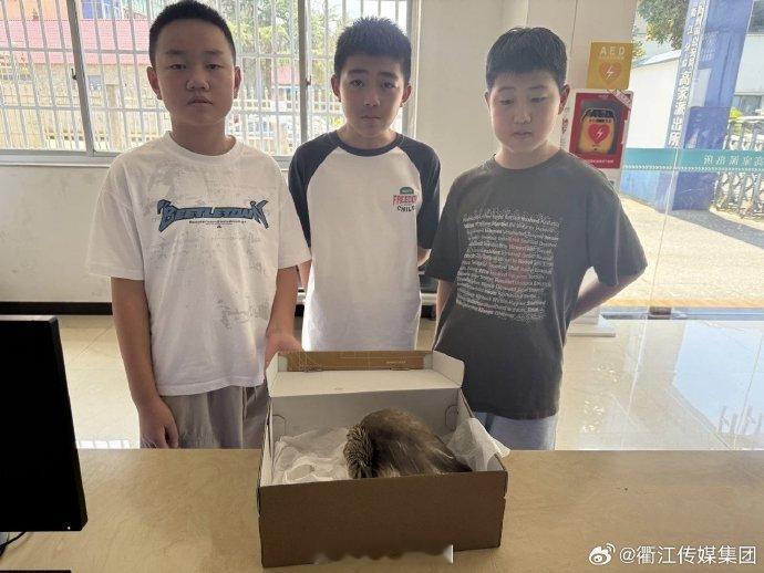 衢州三名小小少年收到了派出所的专属表扬  近日，衢州市公安局衢江分局高家派出所的