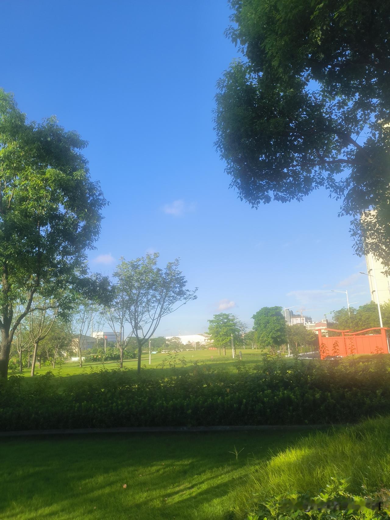 近日，我的一位广州的朋友很苦恼，儿子不争气的苦恼。

这位朋友今年54岁，她的儿