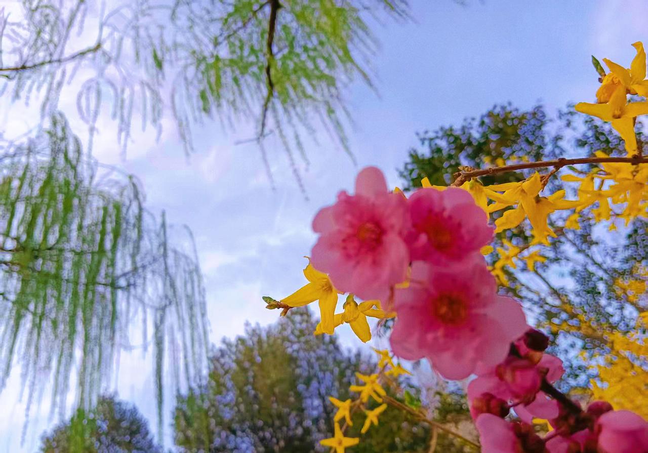 你们当地“傍晚”用方言怎么说哈哈哈哈哈！我们老家说“洪上”