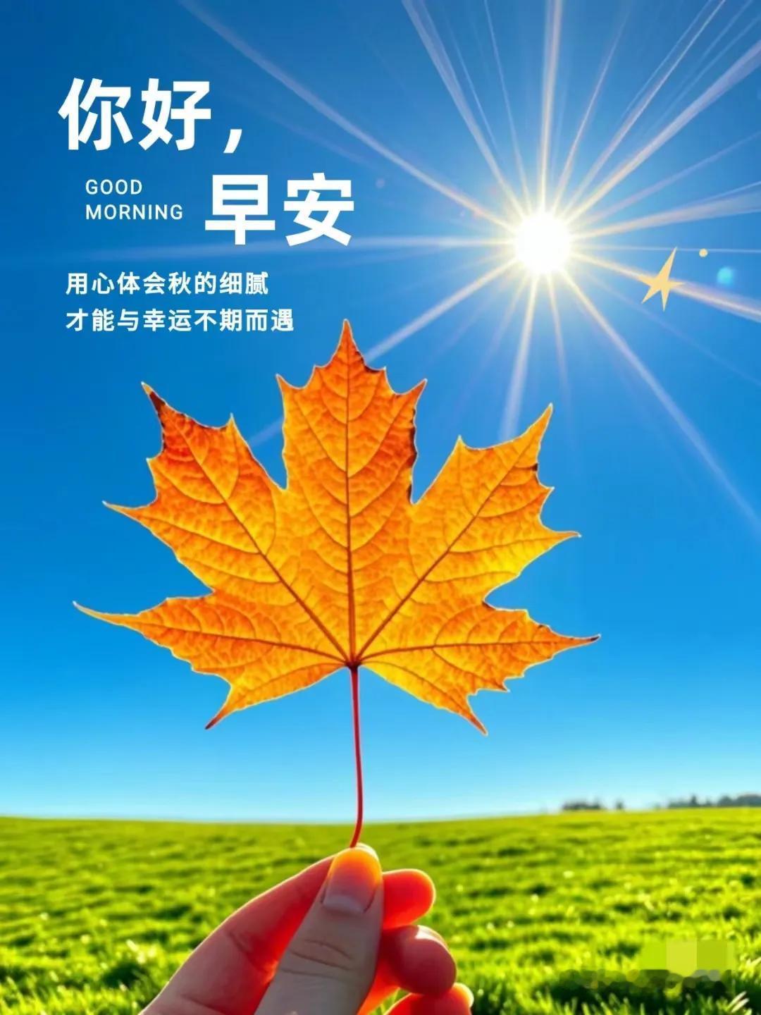 #秋日生活打卡季#
新的一天，新的希望，愿你的每个清晨都充满活力，健康与快乐随行