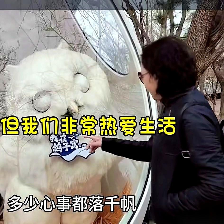 那个带老伴全中国转悠的“航海长”，这回在北戴河的镜头里变样了。
粉丝们隔着屏幕叮