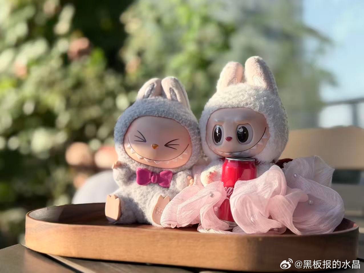昨天傍晚，袁老师发了晚霞和可乐公主、乐呵呵在家里小花园的照片来。有点儿想家了。真