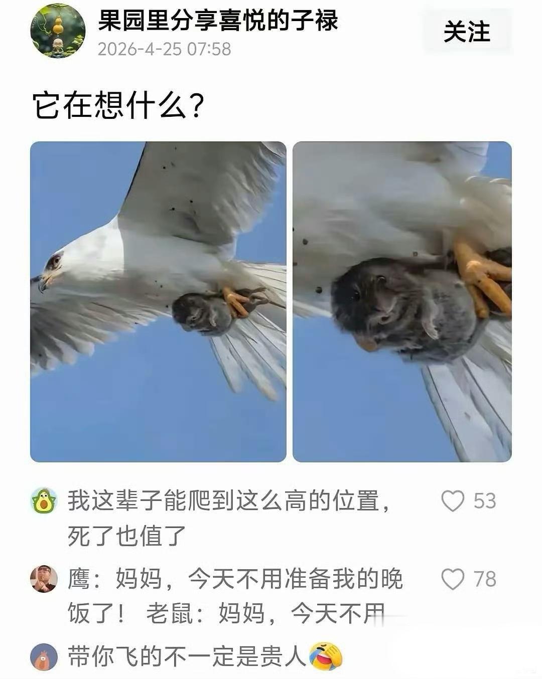 带你飞的不一定是你的贵人，只是想吃你的肉而已，太深有体会了。


[黑线][黑线