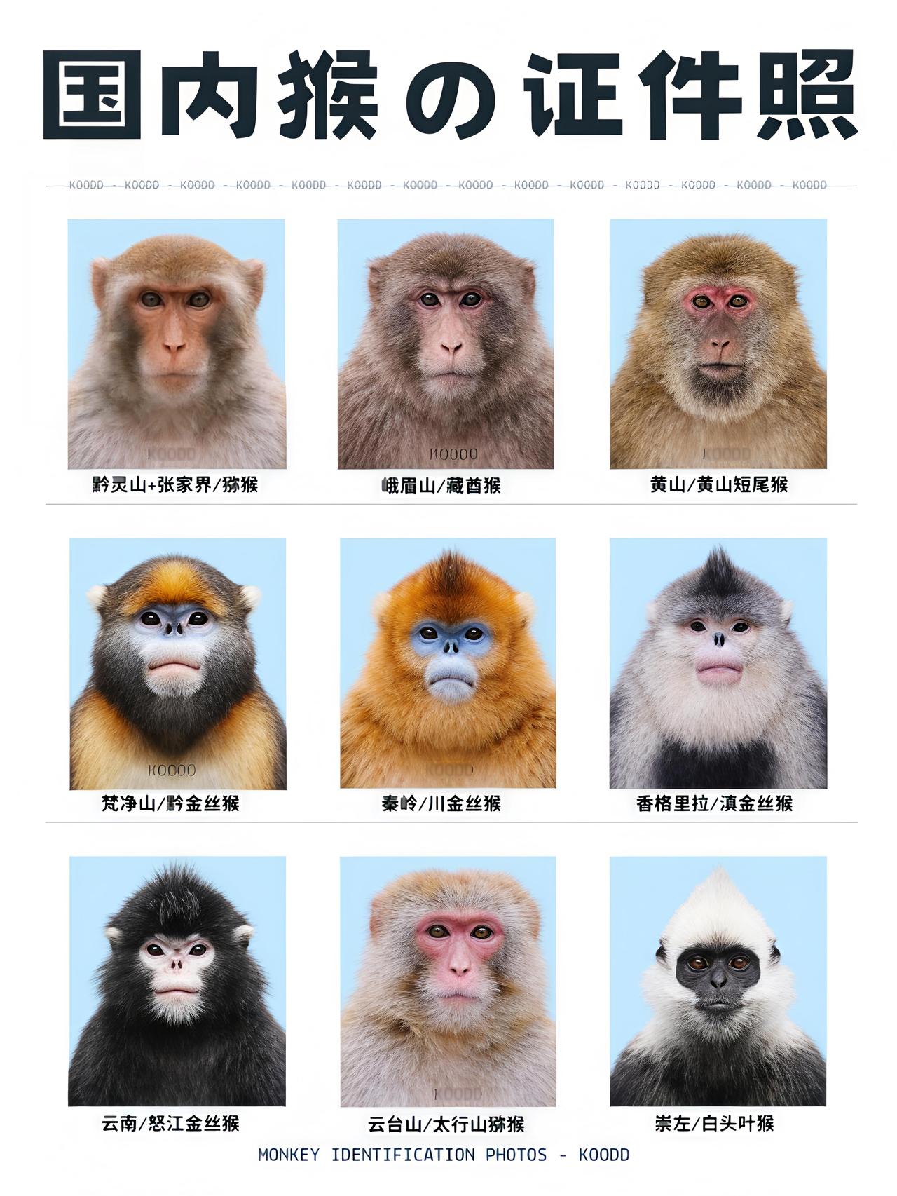 这一张说明一切