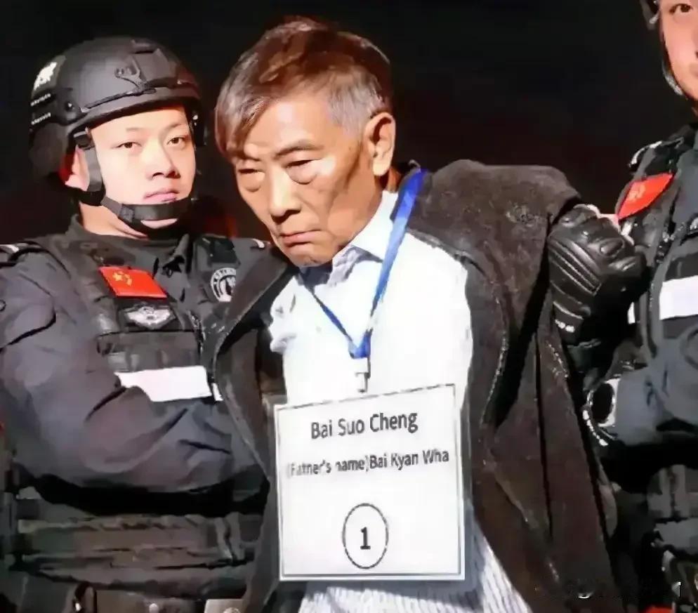 白所成到死都是很不服的!

原因就是白所成自认自己缅北地区的一方军阀，曾经也是指