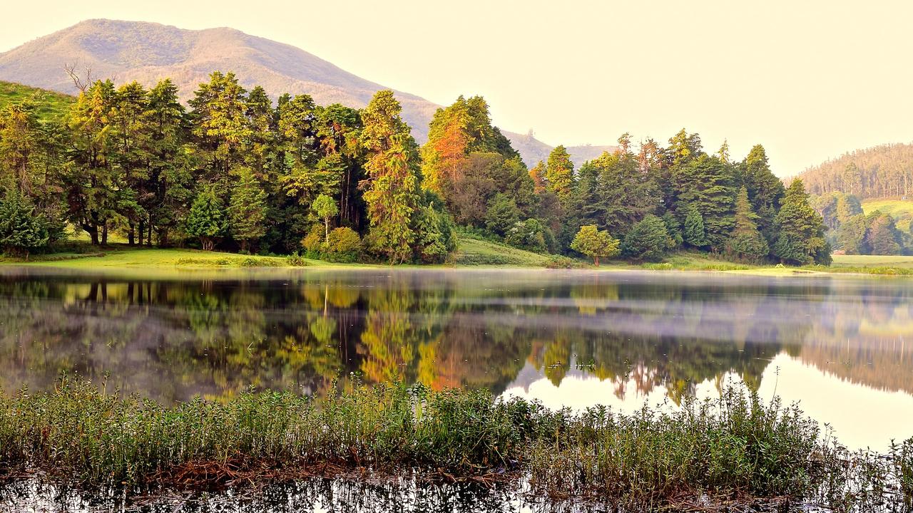 《资治通鉴》告诉你：有利可图的人，从来不说真话

读《资治通鉴》，你会发现一个规