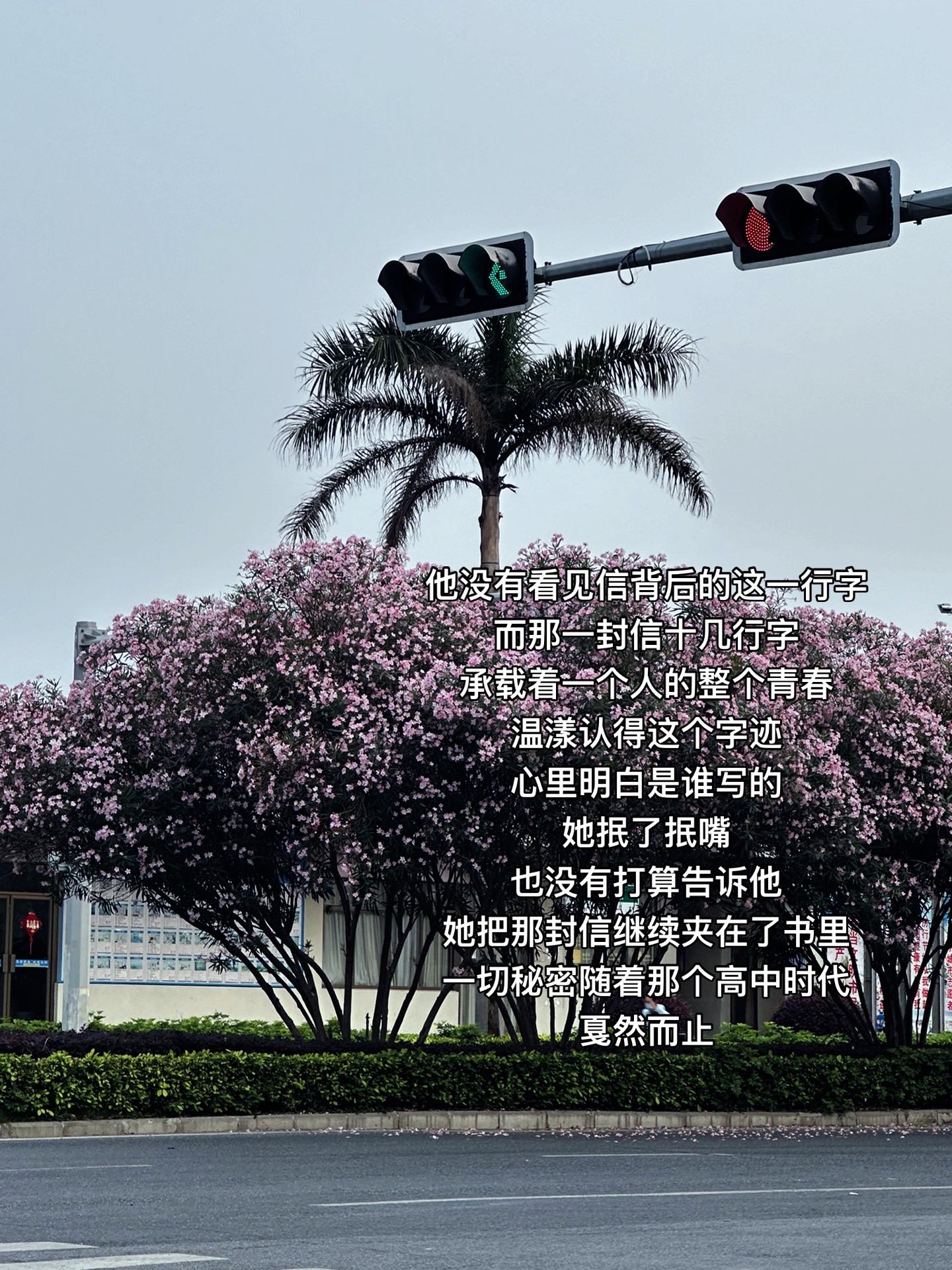 勇敢的人永远比胆小的人多一份幸运 青春也本就是一场马不停蹄的错过和相遇.